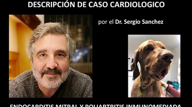 Caso de Endocardistis Mitral y Poliartritis Inmunomediada por el Dr. Sergio Sanchez