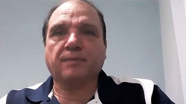 El punto de vista de un especialista acerca de los gatos y el COVID-19