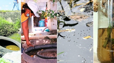 Proponen aprovechar la cuarentena para eliminar los criaderos de mosquitos