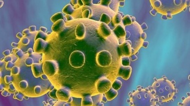 Comunicado de la Academia Nacional de Agronomía y Medicina Veterinaria