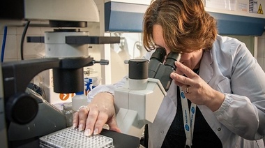 Científicos argentinos trabajan en productos biológicos contra el SARS-CoV-2