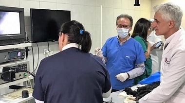 Tumores más frecuentes del aparato digestivo bajo visión endoscópica