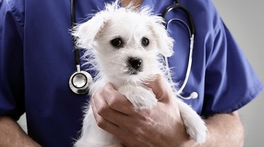 Presentaron el manual actualizado de los ENOs