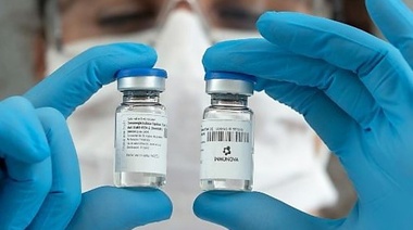 Investigadores del CONICET avanzan en el desarrollo de un suero terapéutico anti-COVID-19