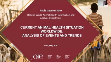 Informe sobre la situación actual de la sanidad animal en el mundo