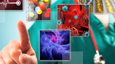 Veterinaria: una profesión multifacética