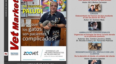 El Dr. Alejandro Paludi explica por qué los gatos son pacientes complicados