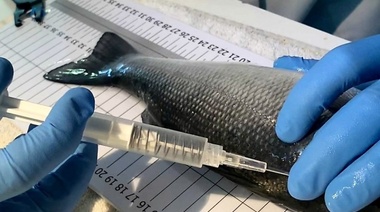 Bioseguridad y Gestión Sanitaria