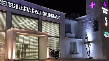 Primera clínica veterinaria de Argentina con acreditación Cat Friendly Practice Gold