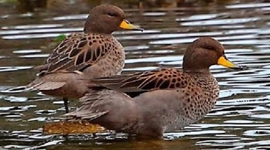 Reserva Natural EL Renacer de la Laguna
