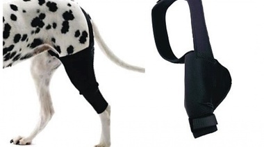 Per-Ros Salud afianza su línea de artículos para prácticas veterinarias