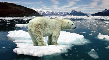 "El cambio climático no se detuvo por la pandemia de coronavirus"