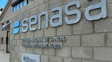 Entró en vigencia el Programa de Fiscalización y Monitoreo en medios digitales