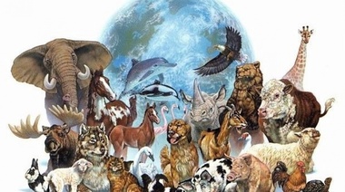 Día Mundial de los Animales