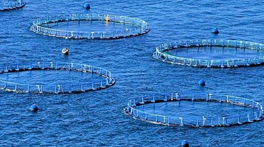 Impulsan el desarrollo de la acuicultura en Argentina