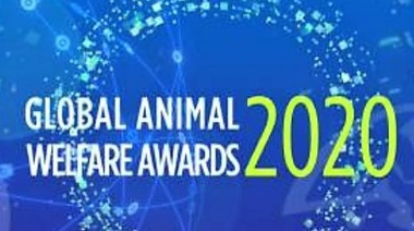 Se conocen los ganadores de los Premios Globales de Bienestar Animal 2020