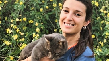 Identificación de conductas anormales del gato