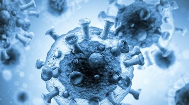 El difícil reto de rastrear el reservorio animal del virus SARS-CoV-2