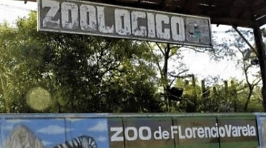 Ordenan pagar una suma millonaria por una muerte causada en un zoológico