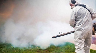 Paraguay emite una alerta epidemiológica por dengue y en Perú crece la preocupación