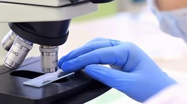 Un nuevo hallazgo podría ser clave para tratamientos contra el cáncer y la neurodegeneración