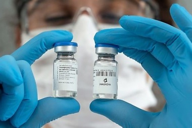 Investigadores del CONICET avanzan en el desarrollo de un suero terapéutico anti-COVID-19