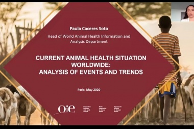 Informe sobre la situación actual de la sanidad animal en el mundo