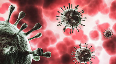 Reporte sobre las variantes del SARS-CoV-2 detectadas en el Reino Unido, Sudáfrica y Brasil