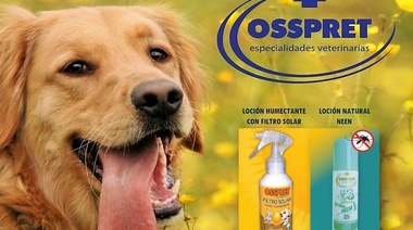 Los aliados infaltables del verano: Loción Humectante con Filtro Solar y Loción Natural Neem