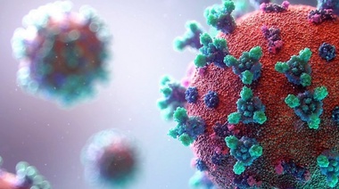 Argentina vigila la presencia de las diferentes variantes del SARS-CoV-2 en el país