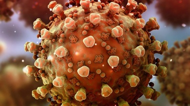 Alertan sobre la mayor mortalidad de la variante británica del SARS-CoV-2