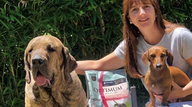 El nexo técnico-comunicacional entre Optimum y los Veterinarios