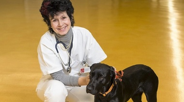 La Dra. Claudia Reusch recibirá el Premio WSAVA 2021 por sus logros científicos