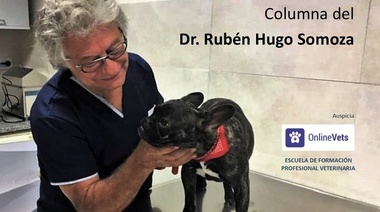 El día de la ovulación, la llave que abre todas las puertas