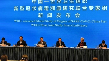 Conclusiones de la misión de la OMS en China