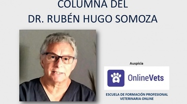 La Especialización, La Derivación