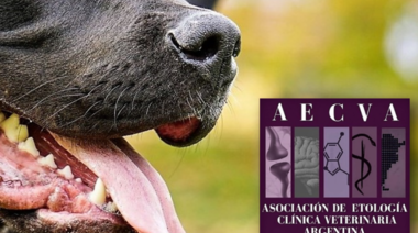 Sobre los llamados “Perros Potencialmente Peligrosos”