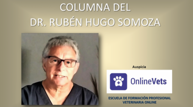 Examen y signos clínicos de la enfermedad neonatal