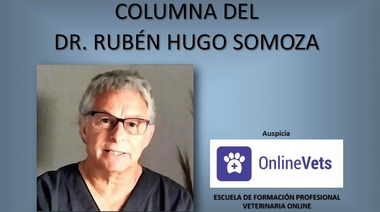 La hipertrofia prostática benigna en el perro