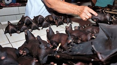 La COVID-19 surgió antes de lo que se creía