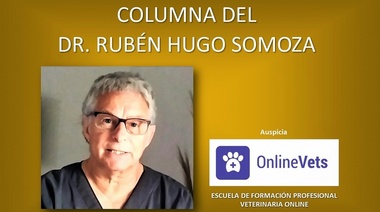 Relación Médico Veterinario - Criador: una mirada diferente de una relación conflictiva