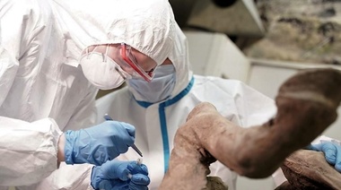 Buscan paleovirus en los restos de animales expuestos por el derretimiento del permafrost