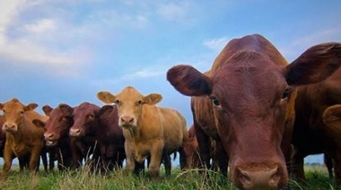 Unión Europea: Entró en vigor la nueva Ley de Sanidad Animal