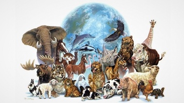 Las 5 necesidades básicas de los animales que definen al bienestar animal