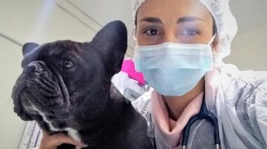 Fisiopatología y Estrategias de Analgesia Multimodal