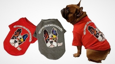 Lo más elegido en moda para mascotas otoño-invierno 2021