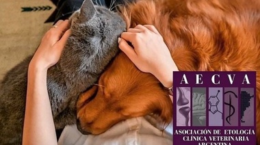 El análisis de AECVA sobre "La pandemia y el auge de las mascotas"