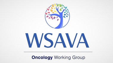 WSAVA creo el Comité Global de Oncología y un argentino es el presidente