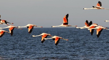 Anunciaron la creación del Parque Nacional Ansenuza