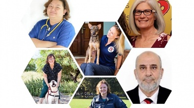 Presentación del Comité de Bienestar y Bienestar Animal de WSAVA